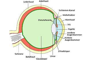 Eye scheme